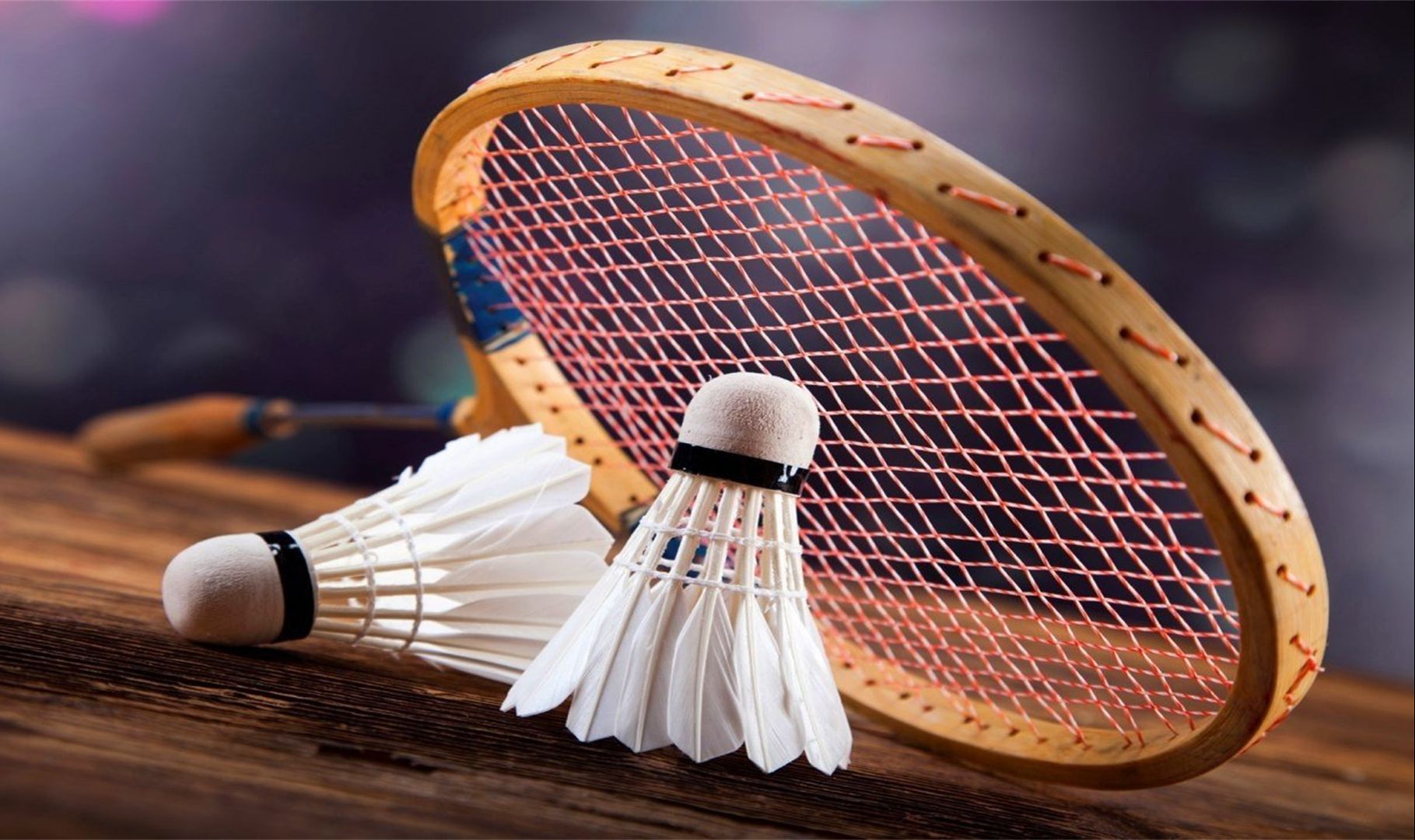 在青训体系 在青训体系