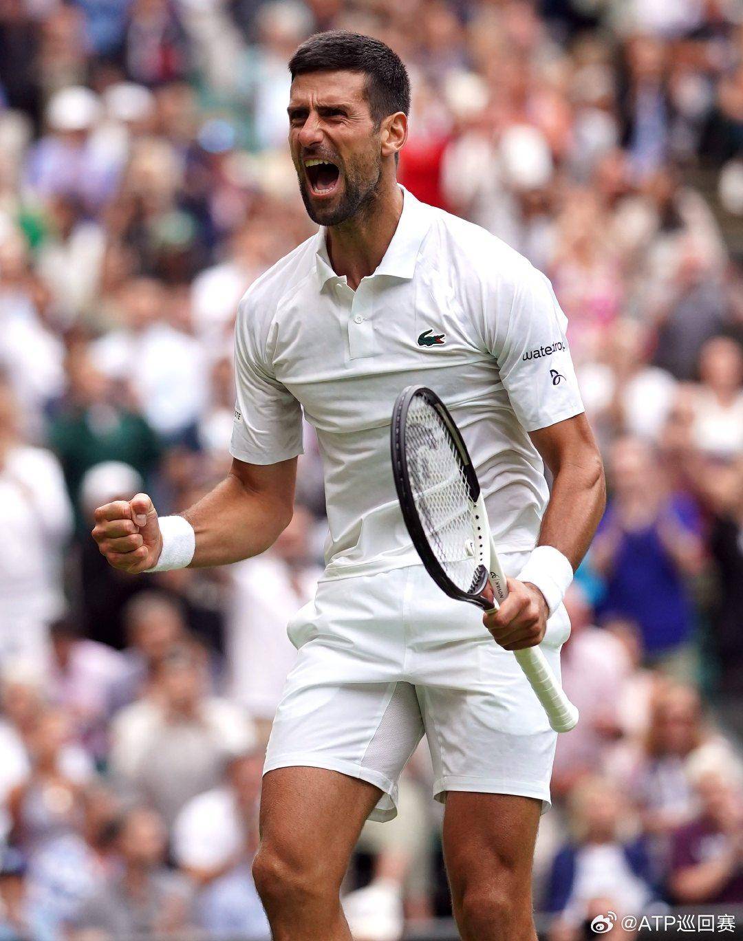 在山东泰山 在山东泰山